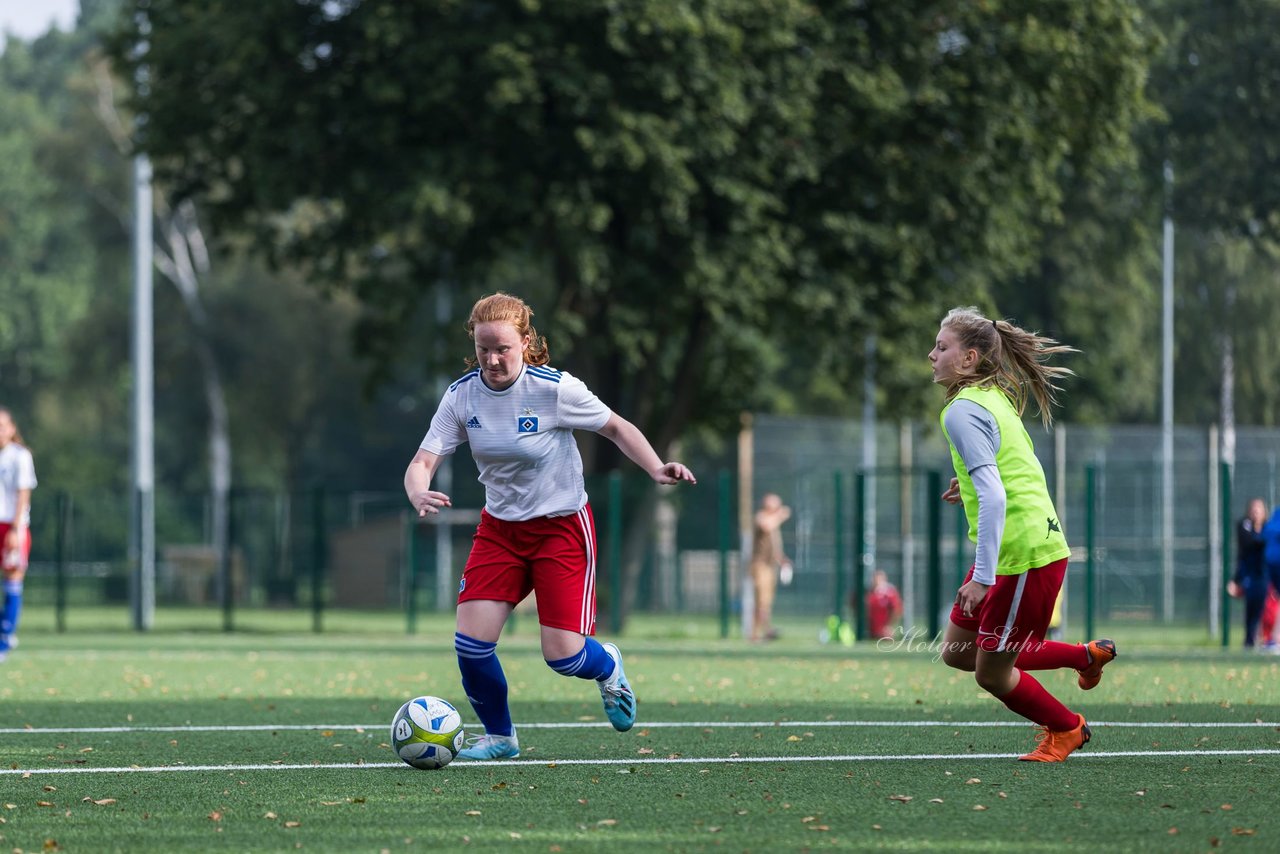 Bild 316 - C-Juniorinnen HSV - Walddoerfer : Ergebnis: 9:1